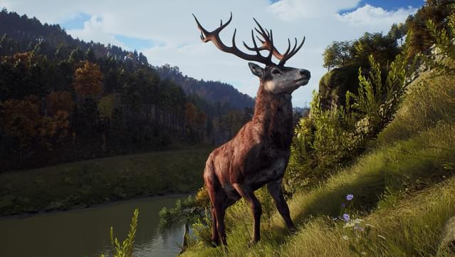 Игра Way of the Hunter Elite Edition Xbox Series X|S (Цифровая версия, регион учетной записи - США)