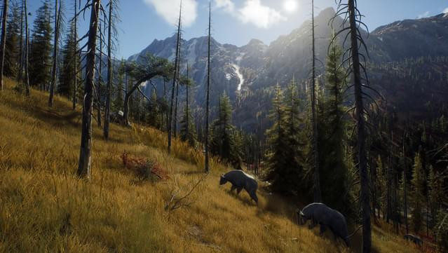 Игра Way of the Hunter Elite Edition PC STEAM (Цифровая версия, русские субтитры и интерфейс, регион активации - Россия)