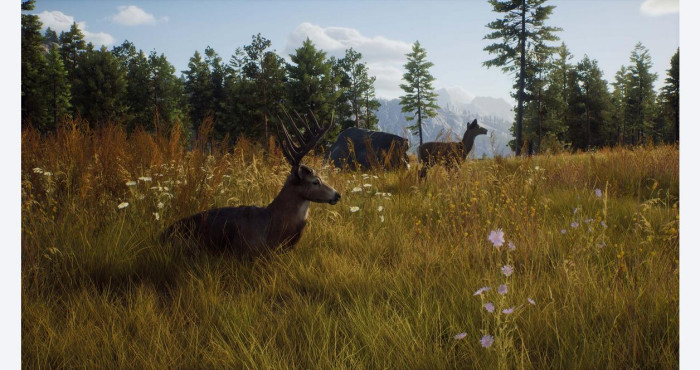 Игра Way of the Hunter Elite Edition PC STEAM (Цифровая версия, русские субтитры и интерфейс, регион активации - Россия)