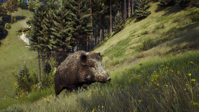 Игра Way of the Hunter Elite Edition PC STEAM (Цифровая версия, русские субтитры и интерфейс, регион активации - Россия)