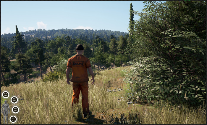 Игра SCUM PC STEAM (Цифровая версия, регион активации - Россия)
